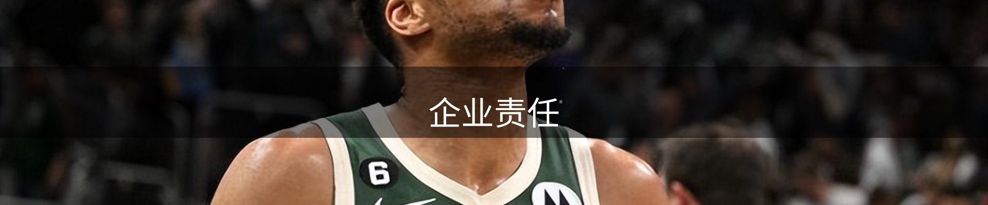 企业责任